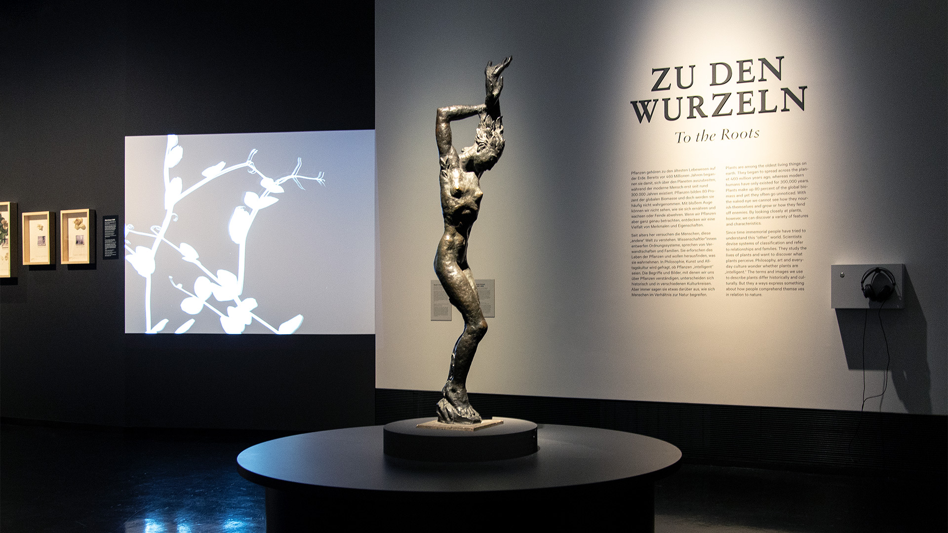 DHMD_Wurzeln.jpg