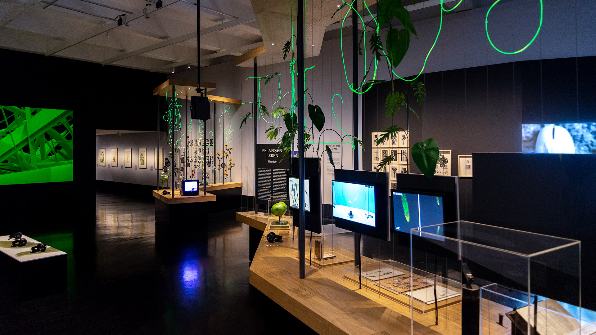 dhmd_ausstellungR1-1.jpg