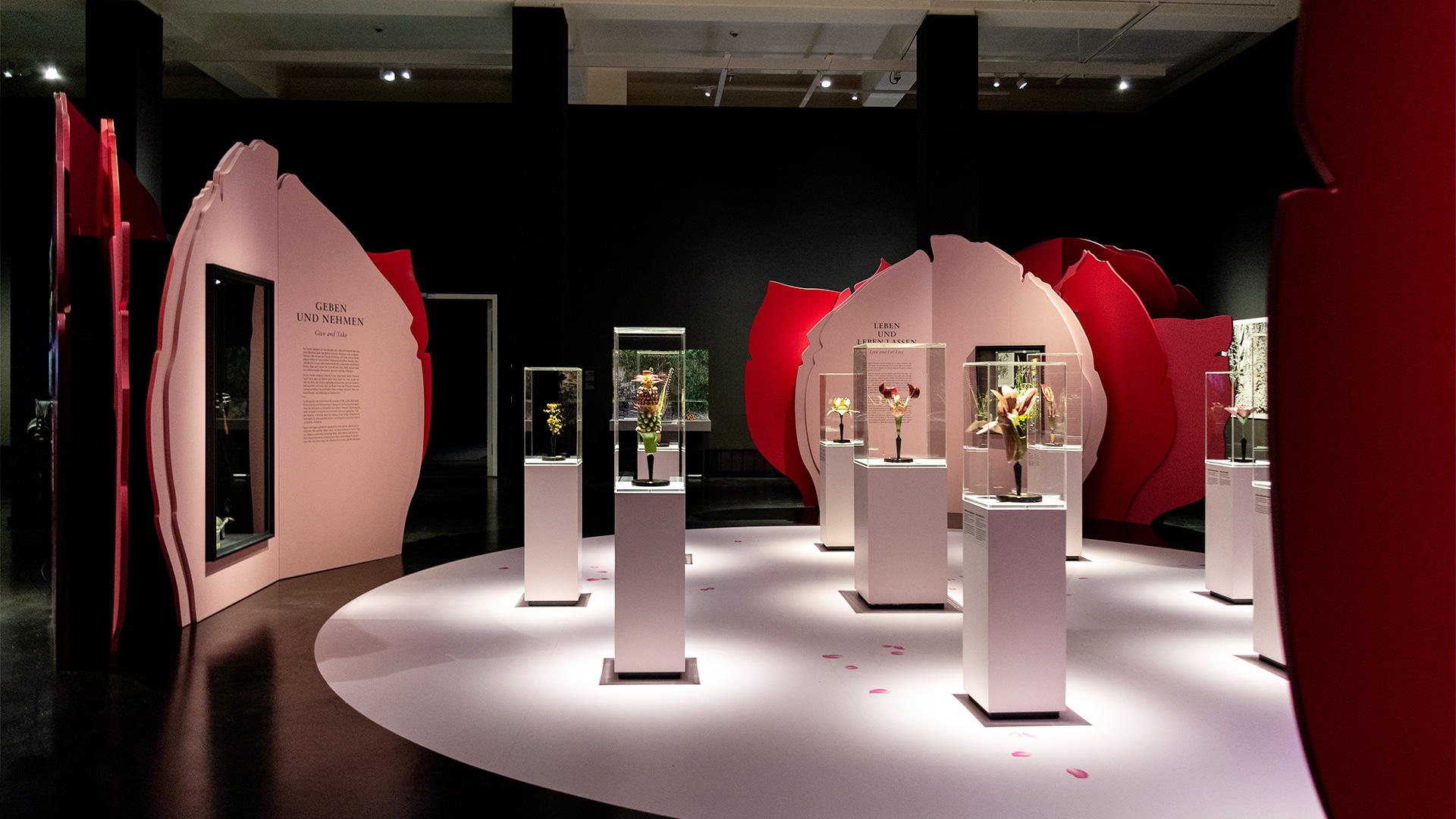 dhmd_ausstellungR3.jpg