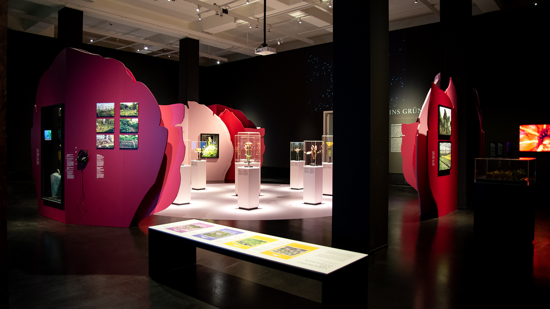 dhmd_ausstellungR3_2.jpg