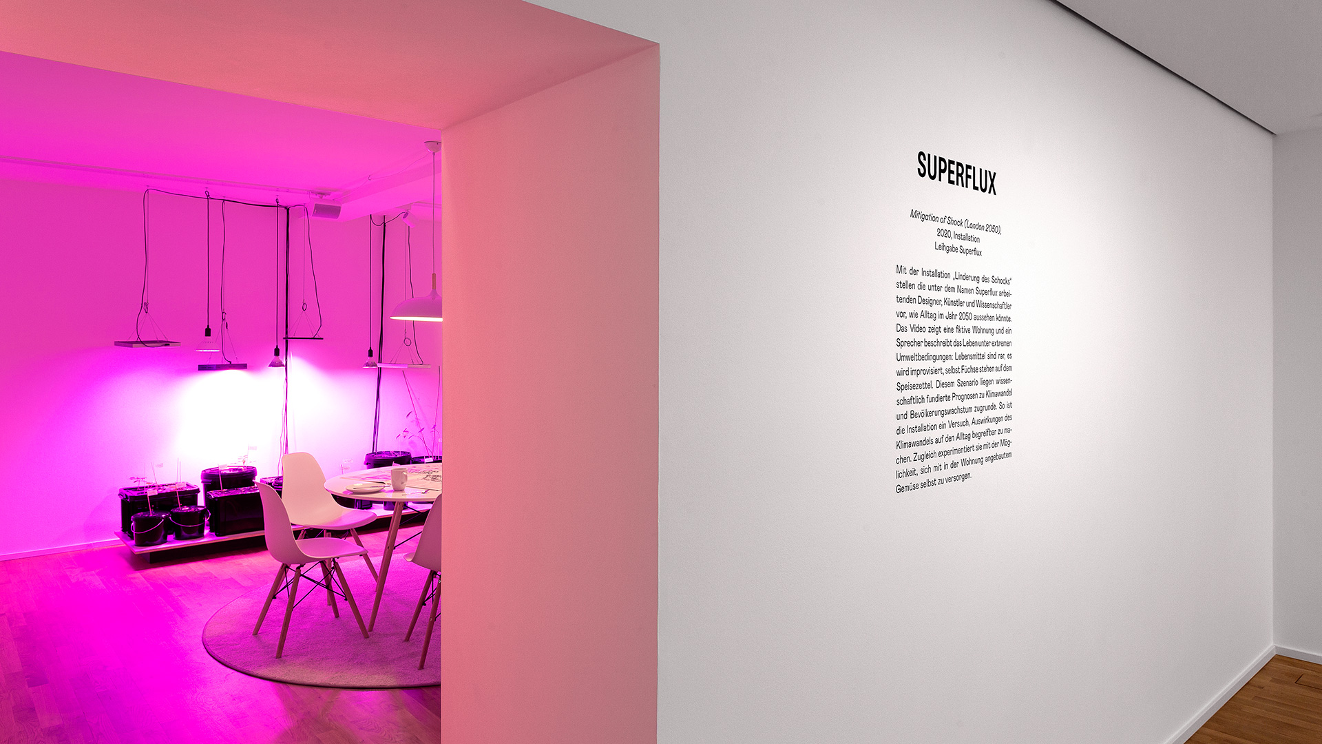 msh_superflux5.jpg